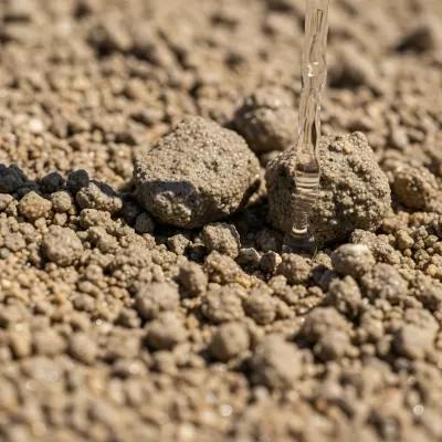 Imagen PNG para descargar